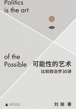 可能性的艺术:比较政治学30讲